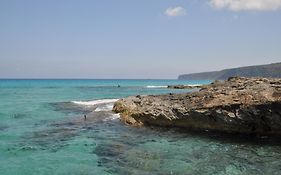 Viviendas Turisticas S'Estanyol