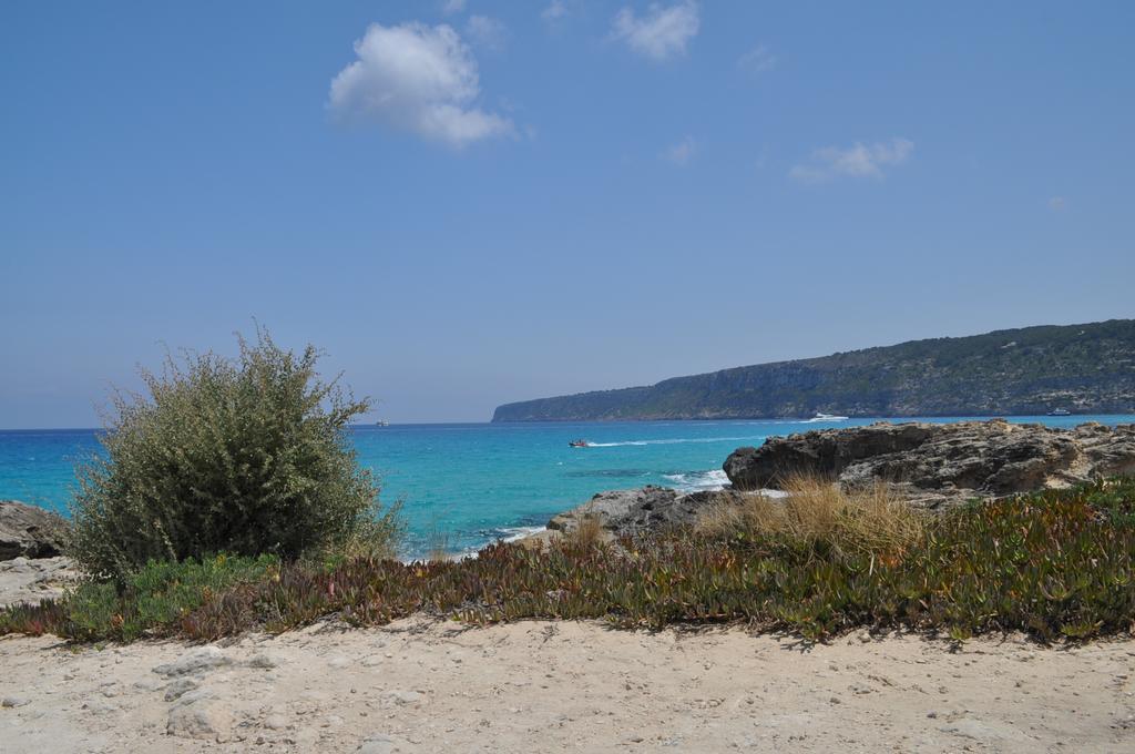 Viviendas Turisticas S'Estanyol La Savina  Esterno foto
